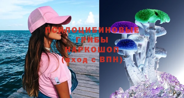 СК Белокуриха