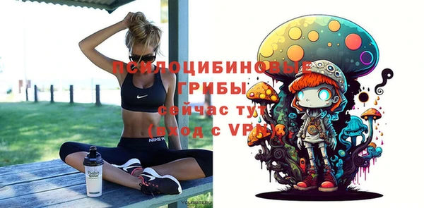 2c-b Белоозёрский